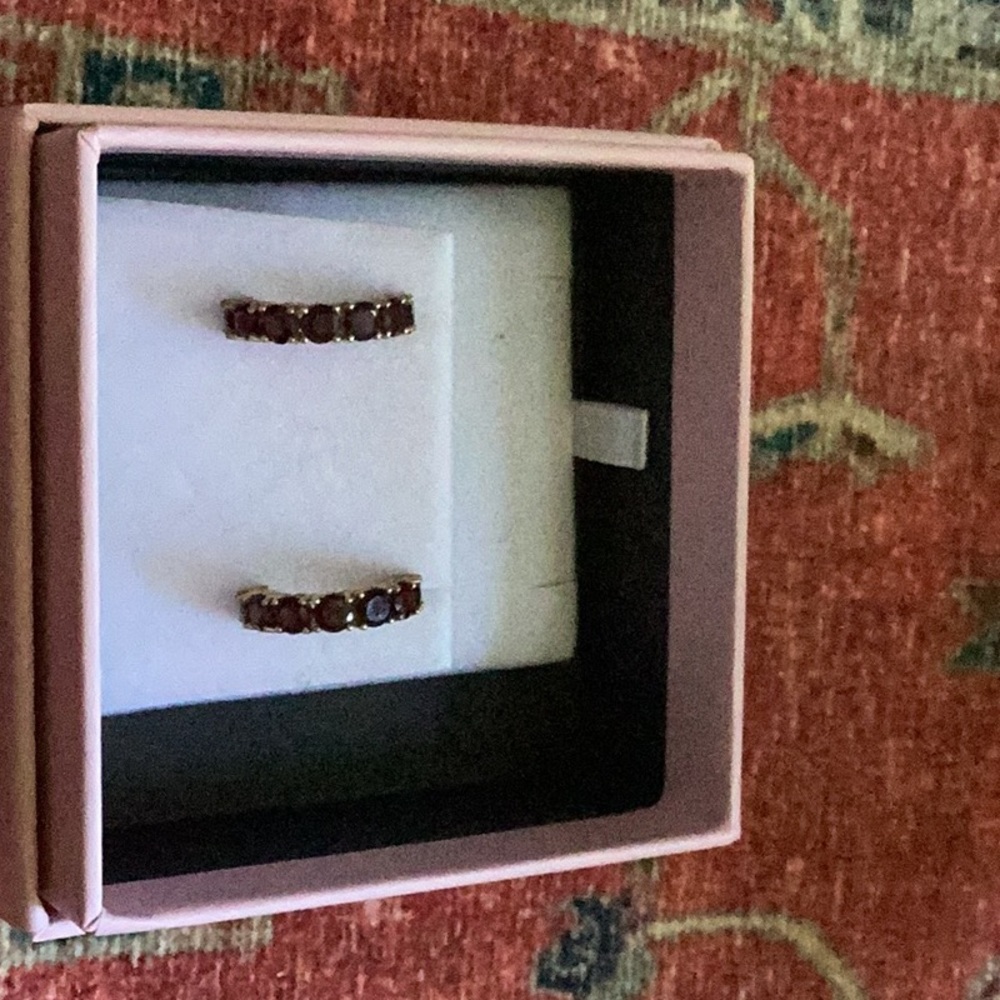 Elegant Garnet Semi-Precious Stone Earrings